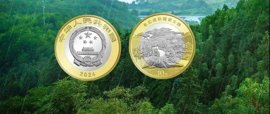 龙年纪念币钞有何魅力，发行量不少，价格一直涨！