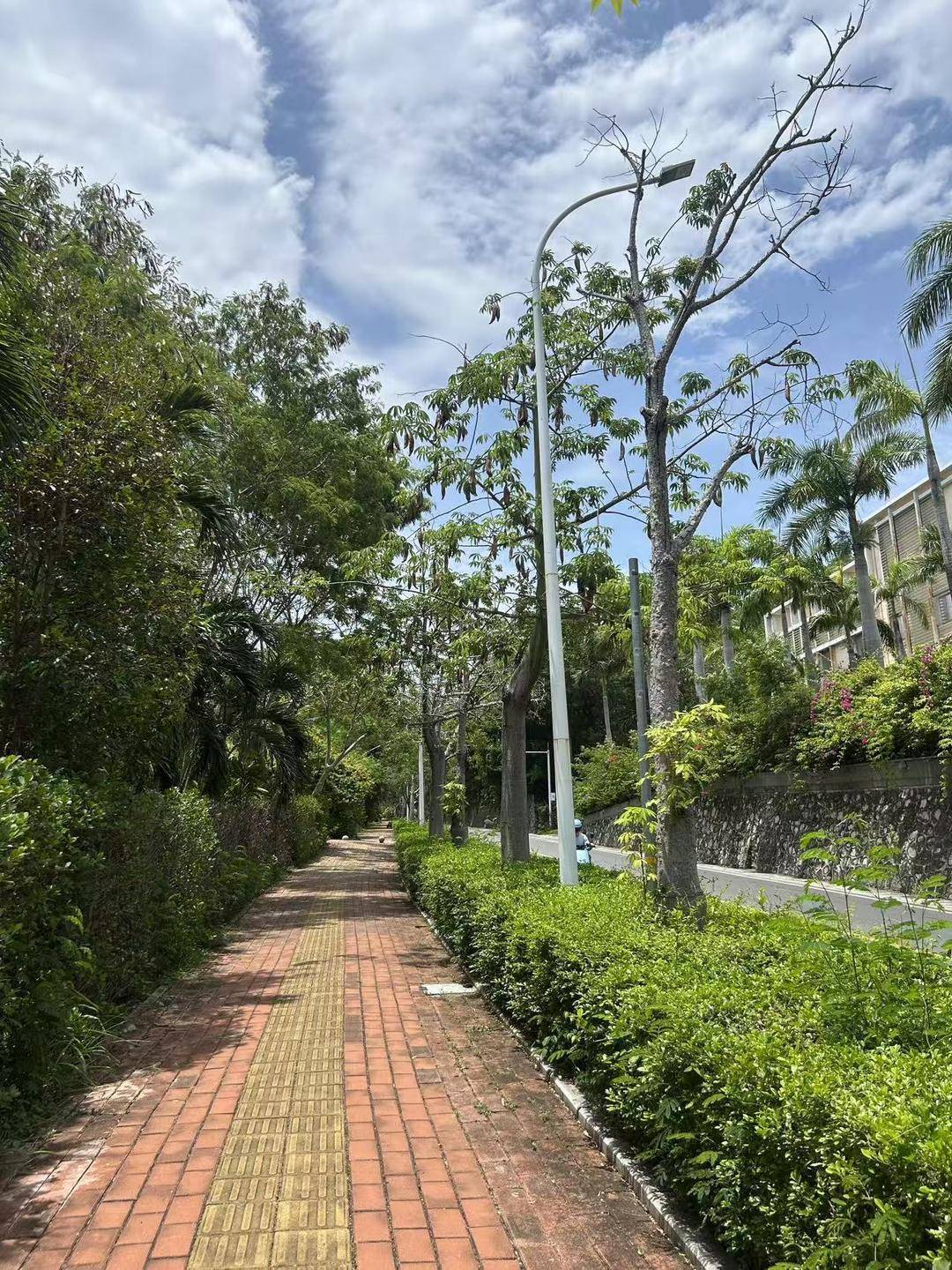 三亚死亡女子家属回应质疑：第二家医院使用了血清抢救，愿意尸检配合调查